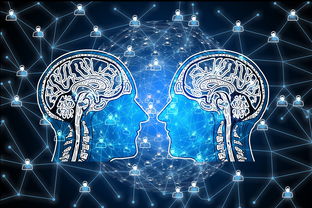 开云体育在线官网-篮球专项技能动作视频资源开发及多媒体教学，篮球动作技术