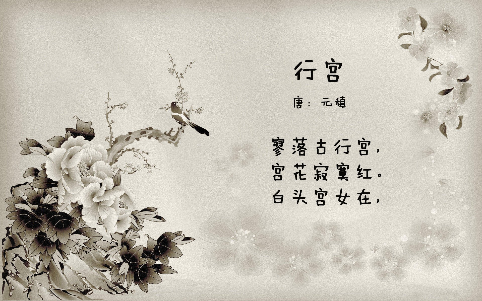 主教练能否巧妙运用暂停干扰对方节奏布局，主教练停职