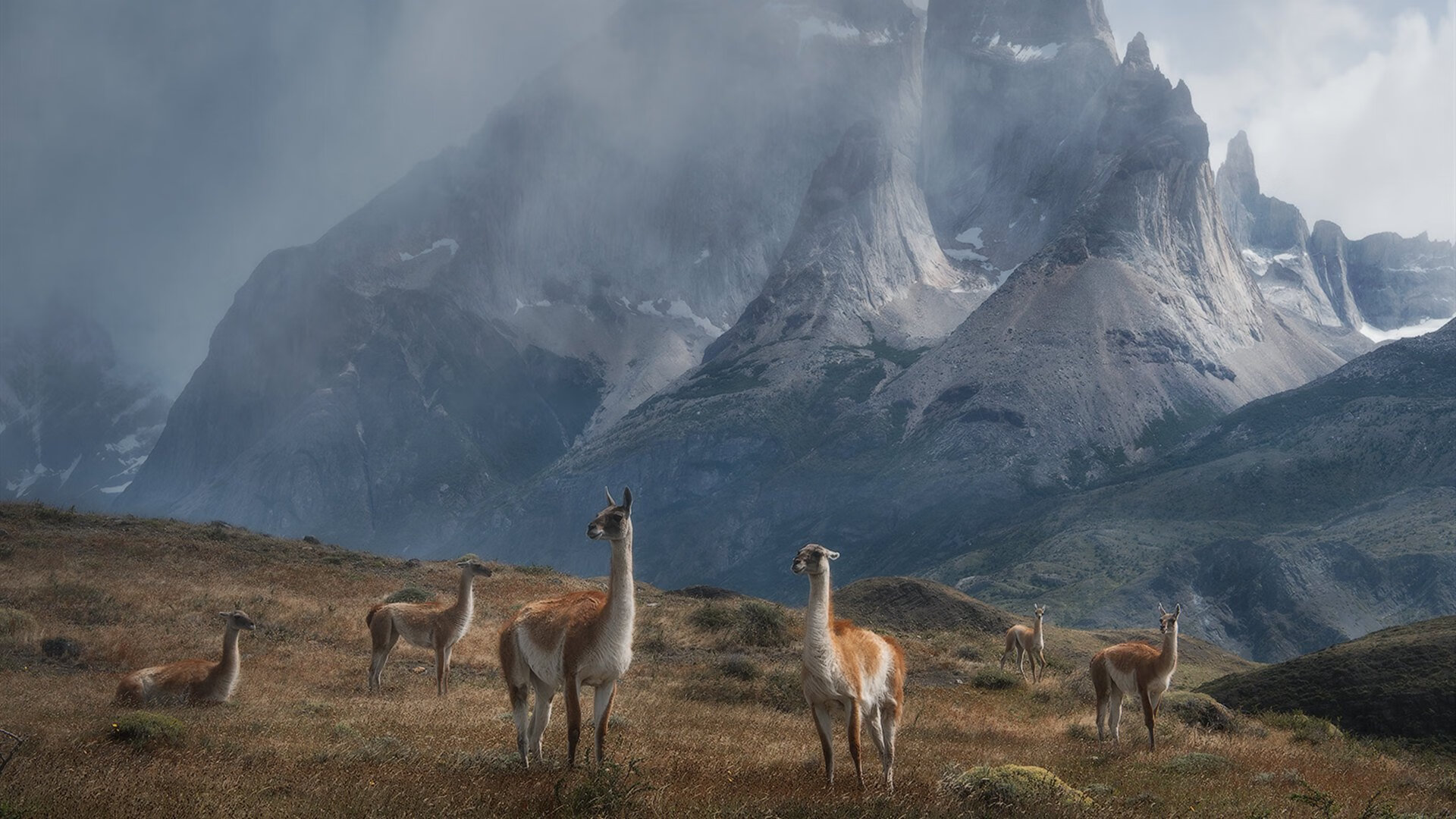 塞尔维亚女篮在欧洲锦标赛中力争金牌一搏,传统强队持续发光,塞尔维亚女篮球世界排名