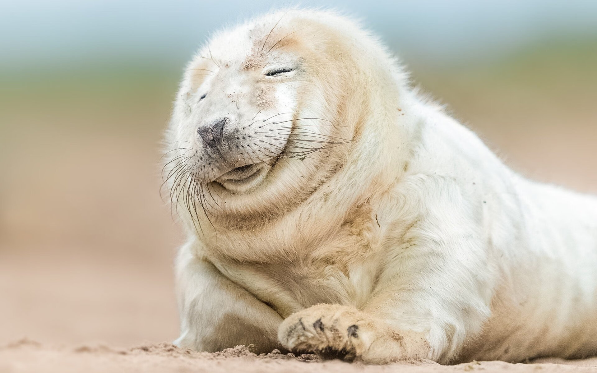 梅尔滕斯精准控速 打出战术泳范本,梅尔滕斯男友