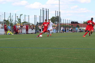 开云体育下载-特色足球运动场设计结合智慧城市理念，实现多功能利用，趣味足球场设计