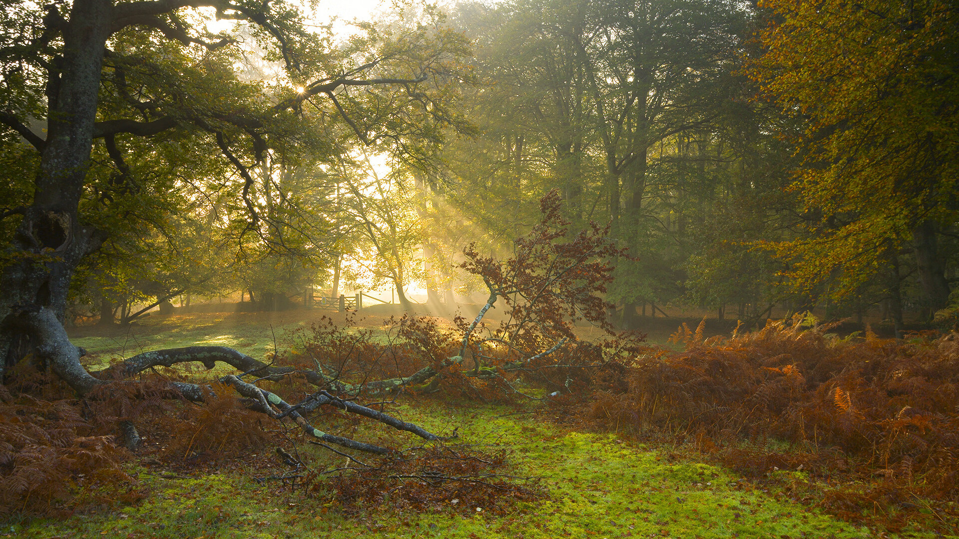 篮球联赛视频分析服务面向基层教练开放,篮球培训视频