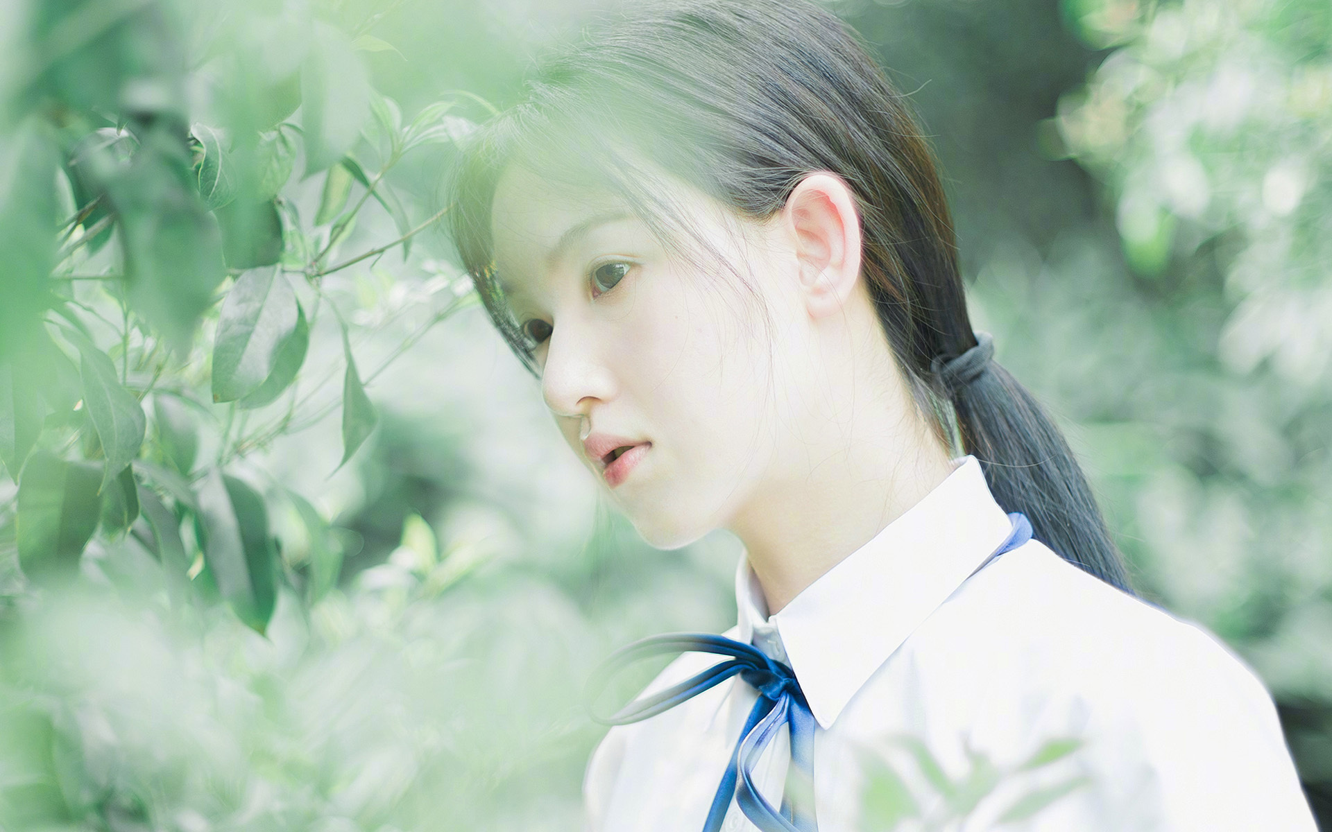 开云官方网-美洲杯激烈冲刺：明星拼搏，激情四溢，美洲杯视频集锦