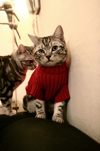 2024巴黎奥运场馆引入智能科技应用，2024年巴黎奥运会举办城市